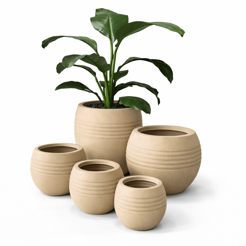 Oval Arenado Arena - Imagen 2